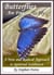 Butterflies Are Free To Fly: A New and Radical Approach to Spiritual Evolution - Butterflies, #1