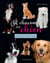 A chacun son chien