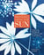Printing with the Sun - Capturing the Beauty of Nature with Cyanotypes