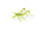 Figurine Sauterelle - Papo