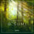 Ambijent – U šumi