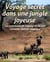 Voyage secret dans une jungle joyeuse - Les aventures de Tommy et de son vaisseau spatial magique