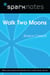 Walk Two Moons (SparkNotes Literature Guide)
