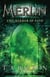 The Mirror of Fate - Book 4
