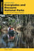 Paddling Everglades and Biscayne National Parks - A Guide to the Best Paddling Adventures
