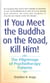 If You Meet the Buddha on the Road, Kill Him - The Pilgrimage Of Psychotherapy Patients