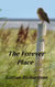 The Forever Place