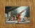 The Journal of Étienne Mercier - Coffee table book