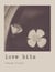 love bits - English version