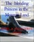 The  bleeding Princess in the  Monters Land - it pays to resist evil lust