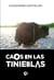 Caos en las tinieblas