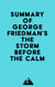 Summary of George Friedman's The Storm Before the Calm