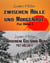 Zwischen Hölle und Morgenrot / Zwischen Eis und Blut - Piet Höller Band 1 und 2