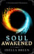 Soul Awakened - Fire & Ice, #2