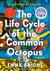 The Life Cycle of the Common Octopus - A Novel