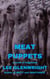 Meat Puppets: A Novel of Fragments