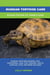 Russian Tortoise Care