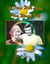To Doris with Love, From Woody Day My Days with Doris Day