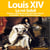Louis XIV le roi soleil