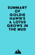 Summary of Goldie Hawn's A Lotus Grows in the Mud