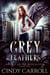 Grey Feathers - Angels of the Apocalypse, #2
