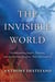 The Invisible World - Understanding Angels, Demons, and the Spiritual Realities That Surround Us