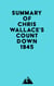 Summary of Chris Wallace's Countdown 1945