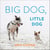 Big Dog, Little Dog
