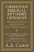 Christian Biblical Advisory Opinions: Foundational Beliefs of Old Christianity - Vol. V Worship and Liturgy in Old Christianity - Foundational Beliefs of Old Christianity, #5