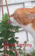 Kater Tommy - Ein Wolf im Schafspelz