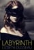 Labyrinth - An Erotic BDSM Novel