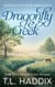 Dragonfly Creek: A Small Town Women's Fiction Romance - Firefly Hollow, #4