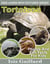 Tortoises Photos and Fun Facts for Kids - Kids Learn With Pictures, #109
