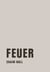 Feuer - Roman
