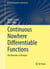 Continuous Nowhere Differentiable Functions - The Monsters of Analysis