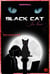 Black cat in love