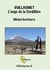 Guillaumet, l'ange de la cordillère