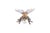 Abeille