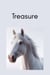 Treasure