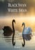 Black Swan, White Swan - Black Swan, White Swan complete series