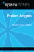 Fallen Angels (SparkNotes Literature Guide)