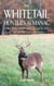 The Whitetail Hunter's Almanac - More Than 800 Tips and Tactics to Help You Get a D
