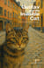Gustav and the Invisible Cat And Other Bilingual Swedish-English Children’s Stories for Beginners
