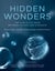 Hidden Wonders - The Subtle Dialogue Between Physics and Elegance