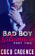 Bad Boy Billionaire - Part Two - Bad Boy Billionaire, #2