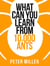 What You Can Learn From 10,000 Ants