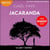 Jacaranda - Prix Renaudot 2024