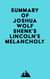 Summary of Joshua Wolf Shenk's Lincoln's Melancholy