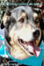 How Buddy Earned His Wings—A Happy Tail