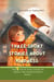 Three Short Stories About Kindness - One Hundred Bedtime Stories, #1